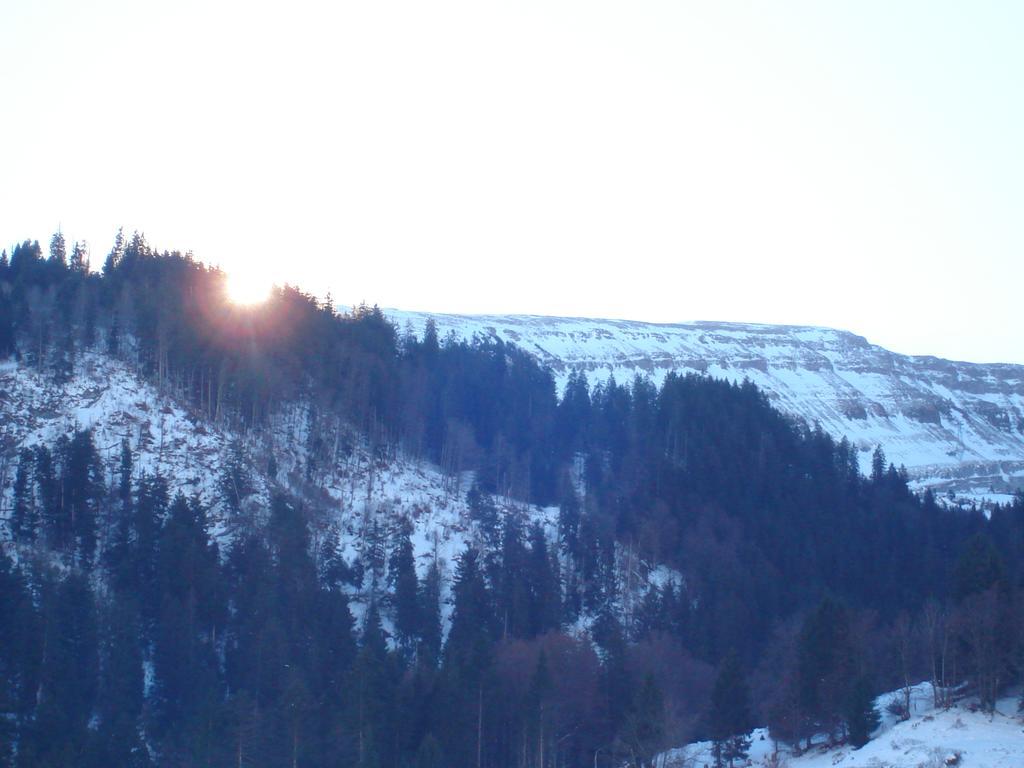 Hotel Alpina Unterwasser Bagian luar foto